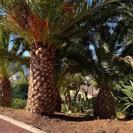 Comforts - Pool - Sea View Apartment Cannes